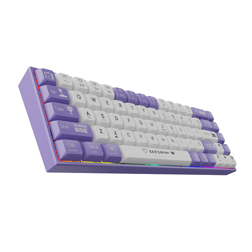 Ajazz AK680 Clavier mécanique filaire, capuchon à double clé, clé 68, berceau à chaud, clavier mécanique personnalisé, effet d'éclairage de couleur mixte, portable et compact, violet et blanc, rouleau de thé