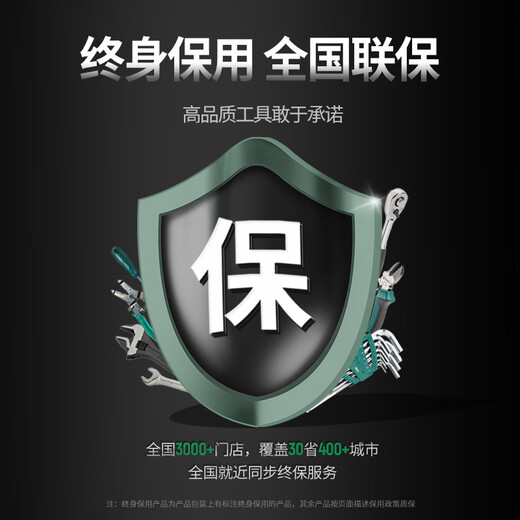 SATA household pliers screwdriver spanner pen repair tool set 12-piece tool set DY06018