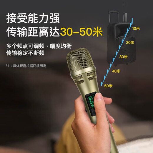 Ringing Wireless Microphone Handheld Microphone Outdoor Performance Singing Audio Amplifier Universal Anti-Howling U-section Hosting Conference Training Speech Trolley Speaker One to Two Wireless Microphone Champagne Gold