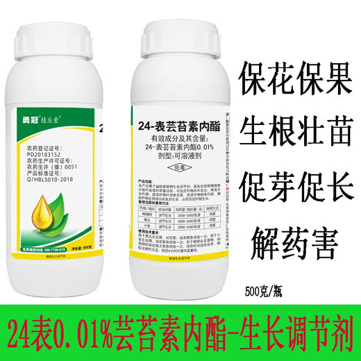 Yongguan Phytozolin 0.01% Brassinolide 24-Table Vegetables, Fruits, Trees and Flowers Antidote to Pesticide Damage and Prevent Fruit Drop Foliar Fertilizer Agricultural Plant Growth Regulator 500g*20 bottles/box