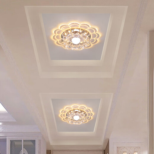 微伙客厅led射灯水晶过道灯走廊灯玄关灯嵌入式个性入户走道阳台筒灯 20CM-5W白光【明装】