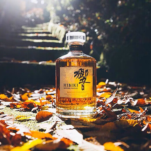 Wine bottle empty bottle fruit wine glass empty bottle sealed with lid 750ml whiskey bottle Japanese business use 250ml square bottle