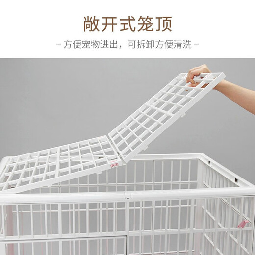 Iris Cat Cage Gran Hogar Cage de dos capas de dos capas Cat Cage 813 Beige