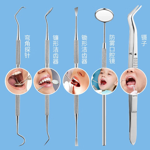 铂呐苓 牙结石神器 洁牙器牙齿科工具家用剔牙神器口腔护理清牙齿科牙 洁牙工具【五件套】