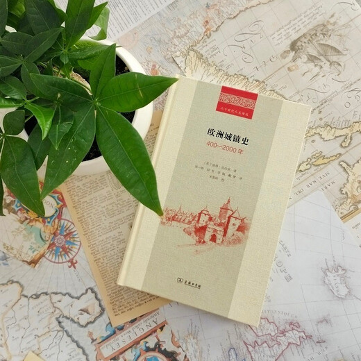 European Urban History 400-2000 (Twentieth Century Humanities Translation Series)