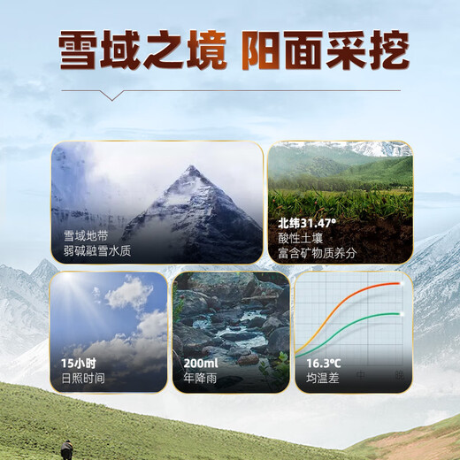 渭水鸿 冬虫夏草礼盒4根/克(2.5g)10管【父亲节】送父母长辈实用礼品