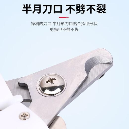 Tanizaki pet nail clippers cat nail clippers dog and cat universal animal nail clippers pet nail clippers sharp #nail scissors + file (blue)