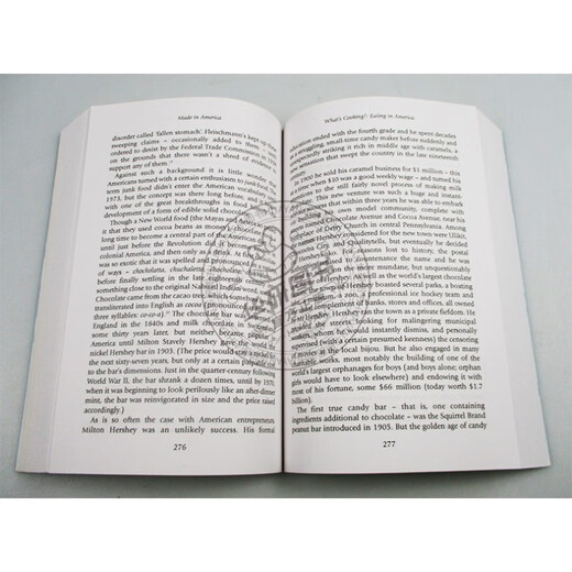 英文原版 美国制造 Made In America 英版 论美国英语 英语简史姊妹篇 万物简史作者