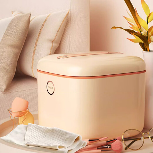 Feili underwear sterilizer dryer household small ultraviolet sterilizer disinfection box portable sterilizer sterilization box ZX02 standard version 10L ultraviolet disinfection-drying-storage