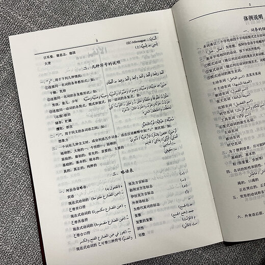 当当正版 阿拉伯语 阿拉伯语汉语词典（修订版）
