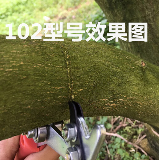 RSRDDY fruit tree girdling honey pomelo tree girdling scissors girdling device lychee tree citrus peeling knife jujube tree nail opening tool 101 knife with 1 mm blade