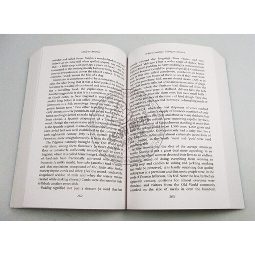 英文原版 美国制造 Made In America 英版 论美国英语 英语简史姊妹篇 万物简史作者