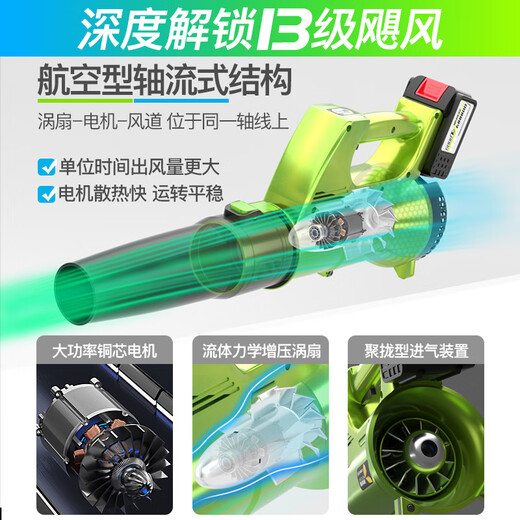 Delis blower, hair dryer, soot blower, lithium charge, high-power industrial outdoor snow blowing, car-mounted fallen leaves and dust grab DS-Storm blowing 3888TV2 electric 1 charge-Liefeng model