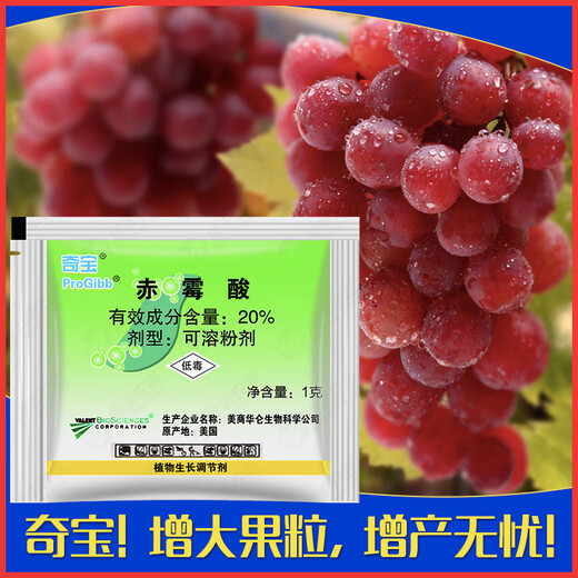 PROGIBB USA 920 gibberellic acid gibberellin powder grape germination imported pesticide plant growth regulator 1g*50 bags