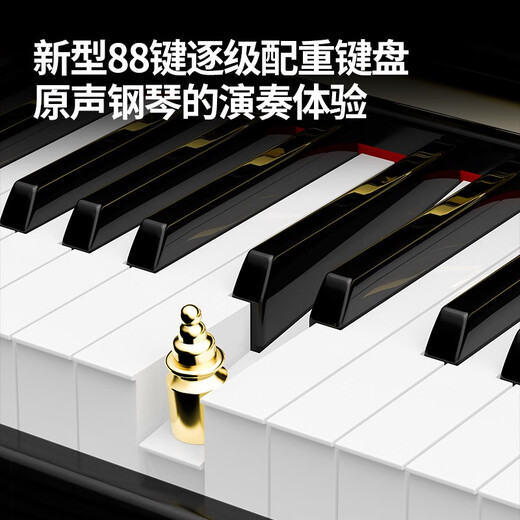 Terence (Terence) electric piano heavy hammer 88-key smart electronic piano for adults, digital piano for beginners to take exams for performers