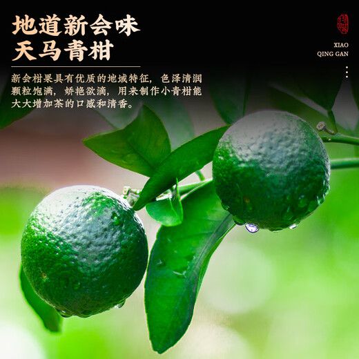 Fudongshun Tea 10-jährige Pu'er Ripe Tea New Club Xiaoqinggan Pu'er Tee-Geschenkbox 500G Mid-Autumn Festival Geschenk