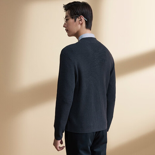 Annonce Bird Cardigan Men's Clothing [Wool Blend Fabric] Fashionable Casual Men's Men's Carganan Simple Knited Veste Blue 50 (180/100)