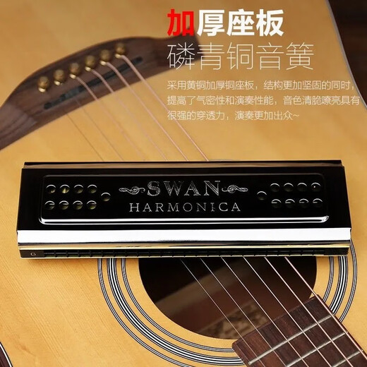天鹅口琴24孔口琴双面双调C/G调初学者成人专业演奏级乐器 24孔双面双调