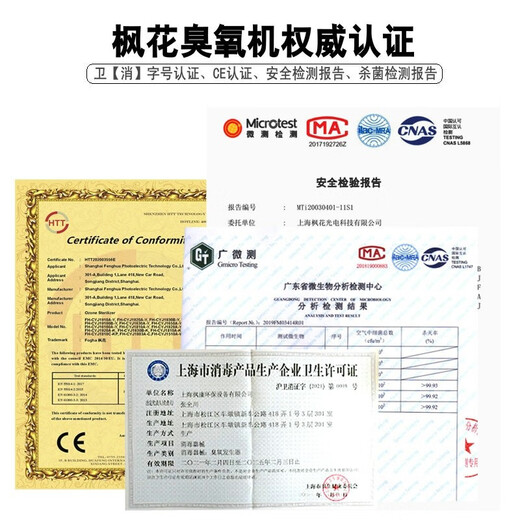 Maple 20G ozone sterilizer CYJ1920A-Y registered model ozone generator industrial sterilizer food factory workshop breeding farm cold storage warehouse sterilization water disinfection 201 stainless steel material (recorded model)