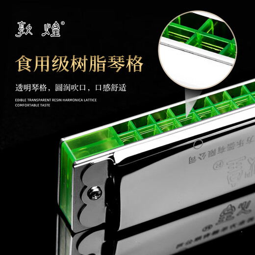 上海敦煌24孔复音口琴A/B/C/D/E/F/G高级成人中老年人舞台专业演奏级 银色D调+全套学习礼包