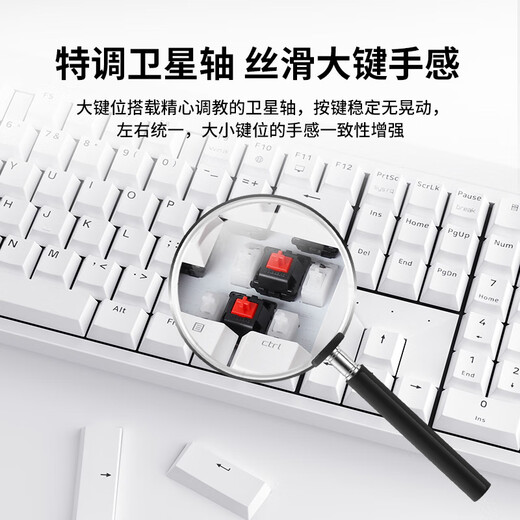 CHERRY Cherry MX2.0S Mechanical Keyboard Gaming Keyboard Office Keyboard Computer Keyboard Full Size Keyboard Wired Keyboard Cherry No Steel Structure White Tea Roller