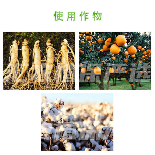 Shanghai Tongrui 920920 75% gibberellic acid grape citrus growth regulator germination gibberellin 1g*10/bag