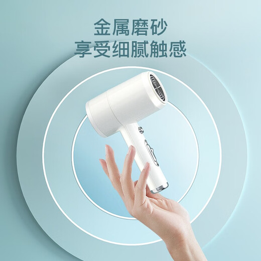AUX Hair Dryer Home Negative Ions Will Not Damage Hair 1800W High Power High Wind Hair Dryer for Dormitory Mini Small Portable Hot and Cold Wind Hair Dryer Gift Pearl White (Blue Light + Negative Ion Dual Hair Care)