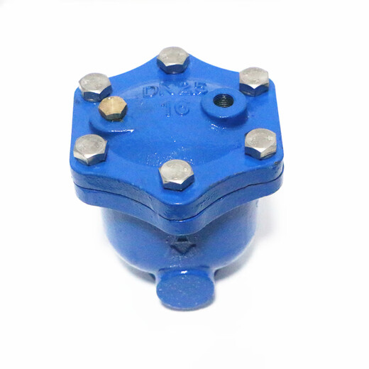 Emike Micro Auspuffventil 9708 Gusseisen Edelstahl Innenteile Automatische Entladung WP1X vertikal mit allgemeinem Auspuff 15-50 Mikroabgasventil DN20 ausgestattet