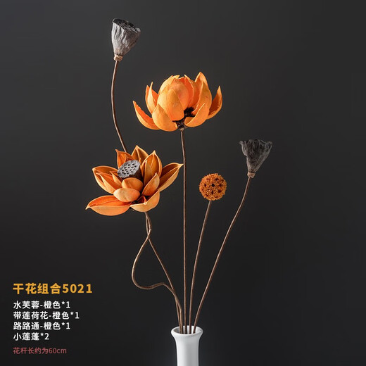 荣弘发干花花束真花装饰摆件荷花风干莲蓬天然莲藕禅意插花中式客厅摆设 干花组合 5008