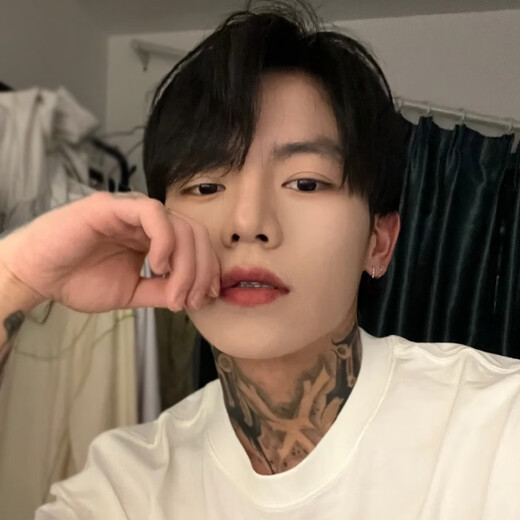 MOLC all-over 925 silver earrings niche design earrings 2025 new handsome men's trendy personality men's earrings men's geometric earrings E0723 silver