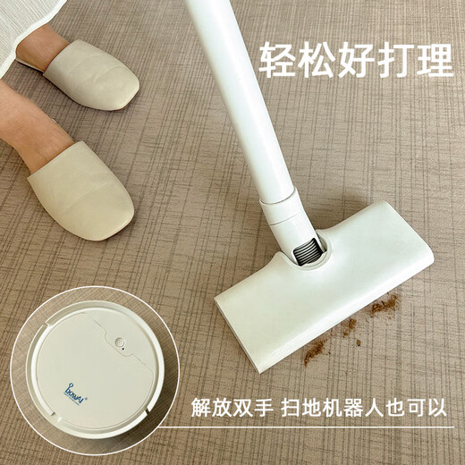 地毯客厅异形沙发茶几毯免洗可擦不规则家用防水耐脏卧室 现代13657 180cm*280cm【亲肤舒适 不易掉毛