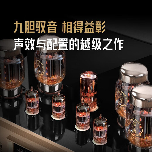 悠唐 MK8800电子管胆机功放HiFi发烧级KT88推挽高端大功率后级纯胆功放机 MK8800纯胆功放(龙吟凤哕)