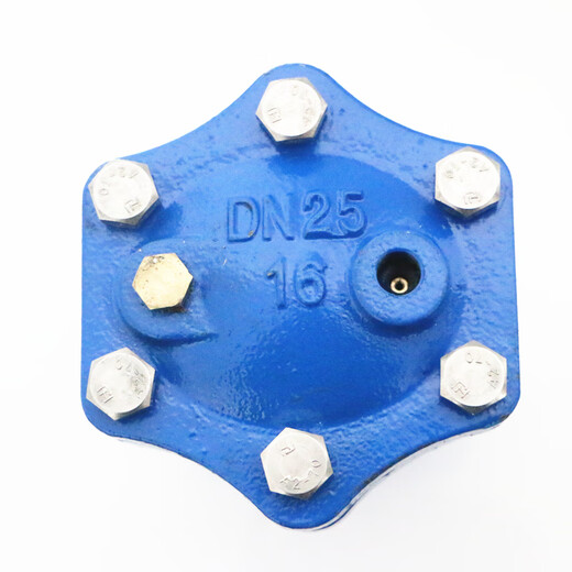 Emike Micro Auspuffventil 9708 Gusseisen Edelstahl Innenteile Automatische Entladung WP1X vertikal mit allgemeinem Auspuff 15-50 Mikroabgasventil DN20 ausgestattet