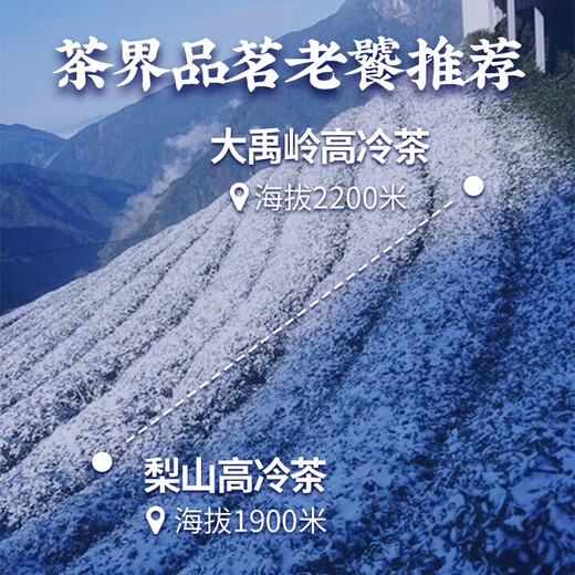 薪傳香大禹岭梨山高山乌龙茶叶中秋节送礼礼盒台湾原产300g 大禹岭2200海拔 150g*2盒