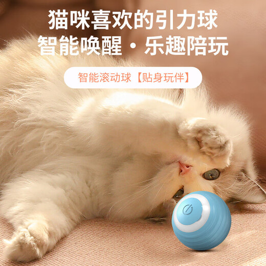 Huanpet.com cat toys, automatic cat teasing ball, electric self-entertainment and boredom relief artifact, teeth grinding and bite-resistant cat, kitten and kitten pet