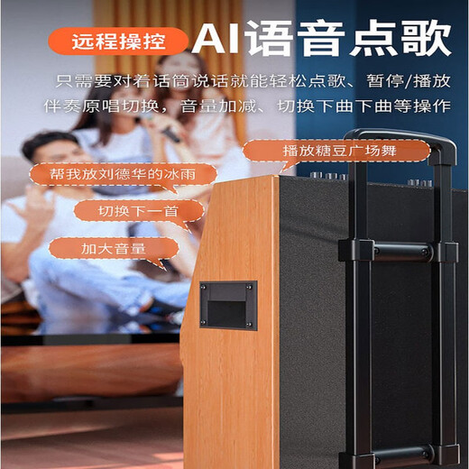 Jinzheng square dance audio with display screen outdoor audio karaoke all-in-one machine trolley speaker mobile Bluetooth home KTV audio karaoke machine large volume 21# Bluetooth wooden trolley flagship version + dual microphones standard without U disk without bracket