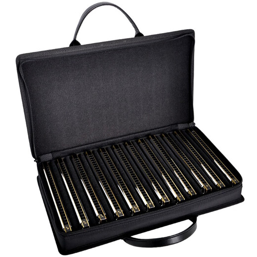TOMBO Japan Tongbao 6624S professional performance 24-hole polyphonic harmonica 12-tuning 7-tuning set 6624 adult advanced musical instrument 6624 [Advanced model] 7-pack