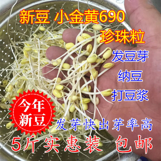 发芽小金黄690黄豆5斤小黄豆发豆芽做纳豆珍珠粒250g 发芽专用690小黄豆250g