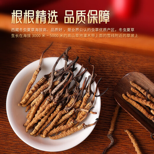 胡庆余堂冬虫夏草5根/g 8克红色对开礼盒装约38-40根西藏虫草礼盒天号50