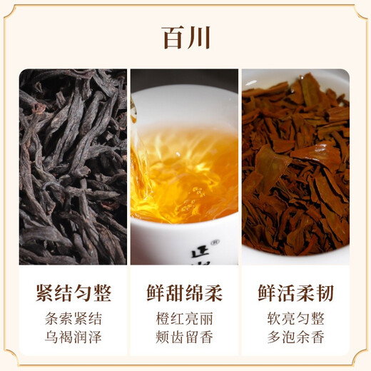 Zhengshantang Combination Tea Wuyishan Zhengshan Xiaozhong Black Tea Special 25g Box Flavor Trial Collection Tasting Package