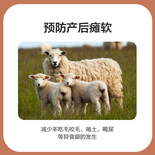 Zhengda 4% breeding ewe premix breeding ewe feed during pregnancy and lactation has more milk to prevent paralysis