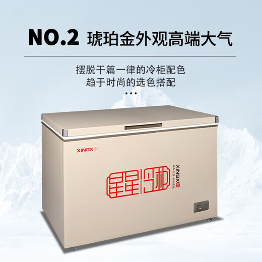 Xingxing (Xingx) Freiner Horizontal Freezer Commercial GRAND CONGRIPÉTAT TEMPRACULATION DE CONGRIPTION DE RÉFRIGÉRATION DE LA RÉFRIGÉRATION DE LA COMPRÉVÉRATION À grande capacité 518 litres Freiner Couvercle Top Cover Door Freinteur rapide Réfrigérateur de gardien de prix Fresh