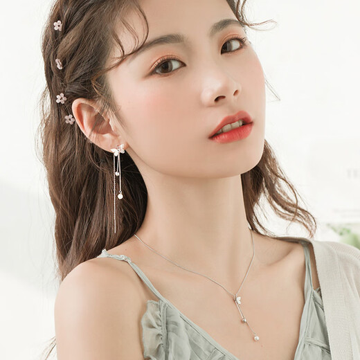 Crystal butterfly tassel ear wire girlfriend silver earrings 2025 new high-end earrings long birthday gift