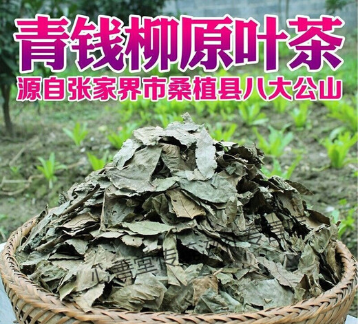 Yourrentang Green Money Willow Tea Centennial Tree Green Money Willow Health Tea Makes The Leaf Tea Gold Money Willow 170g