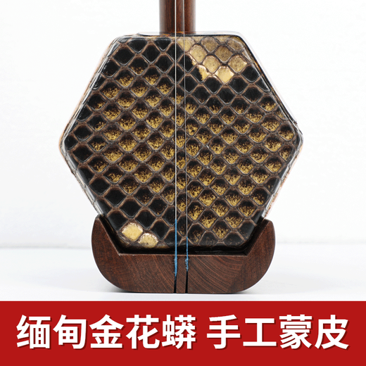 正音堂二胡乐器老料红木十级专业演奏苏州考级业余爱好大音量 三星老料红木+精美皮盒