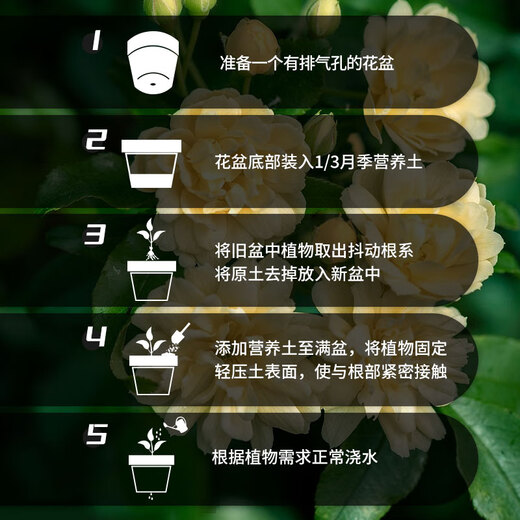 Manlife 50L Rose Nutrition Soil Free Fertilizer Medicine Imported Peat Soil Flower Soil Green Plant Flower Organic Planting Soil