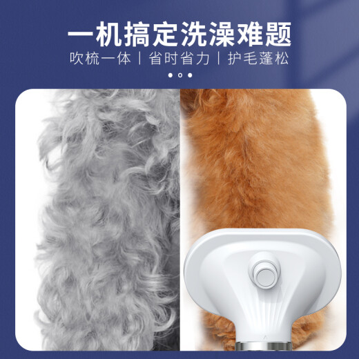Laiwang Brothers pet hair dryer cat and dog bathing combing hair dryer PD-9900 white