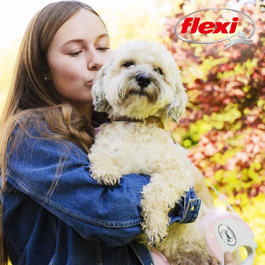FLEXI automatic retractable leash dog leash medium and small dog Teddy pet leash Pearl White M size suitable for dogs within 5 meters and 25kg
