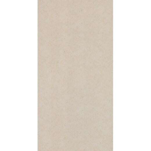 XMSJ花园地砖石英砖地铺石户外室外庭院院子600*1200厚1.8CM广场瓷砖 壁画黑12804厚18mm过车无忧防滑 6001200