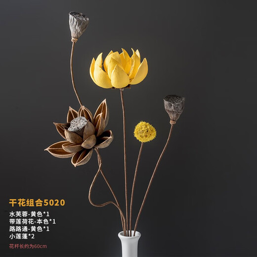 荣弘发干花花束真花装饰摆件荷花风干莲蓬天然莲藕禅意插花中式客厅摆设 干花组合 5008